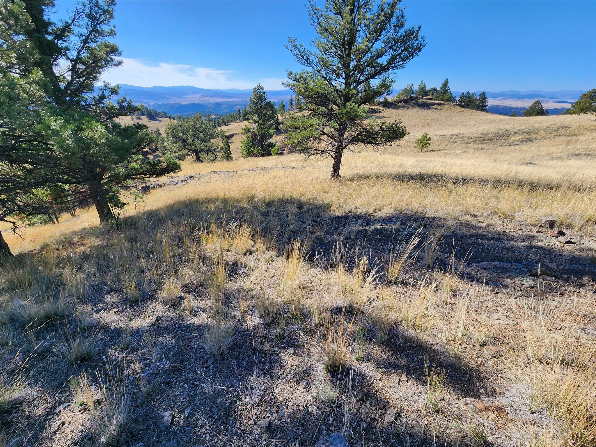 Tract 90 Hideaway Lane Property Photo 15