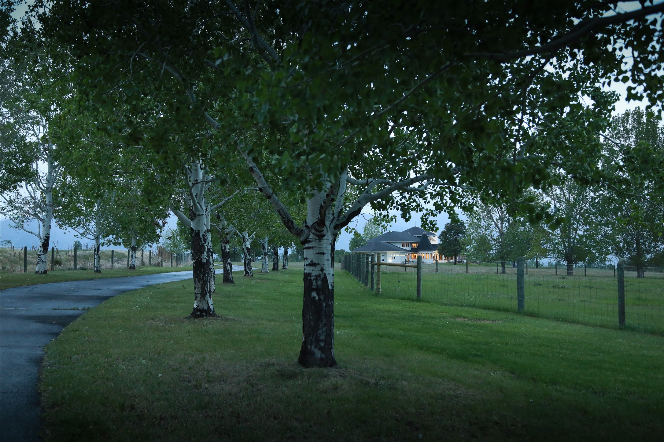 422 Back Nine Lane Property Photo 115