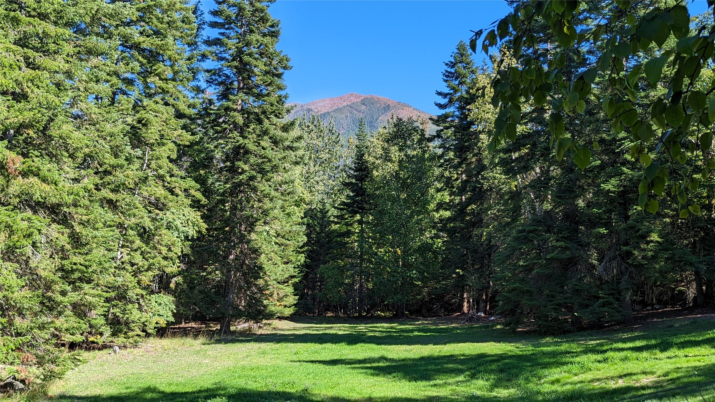 11552 S Whitetail Road Property Photo 1