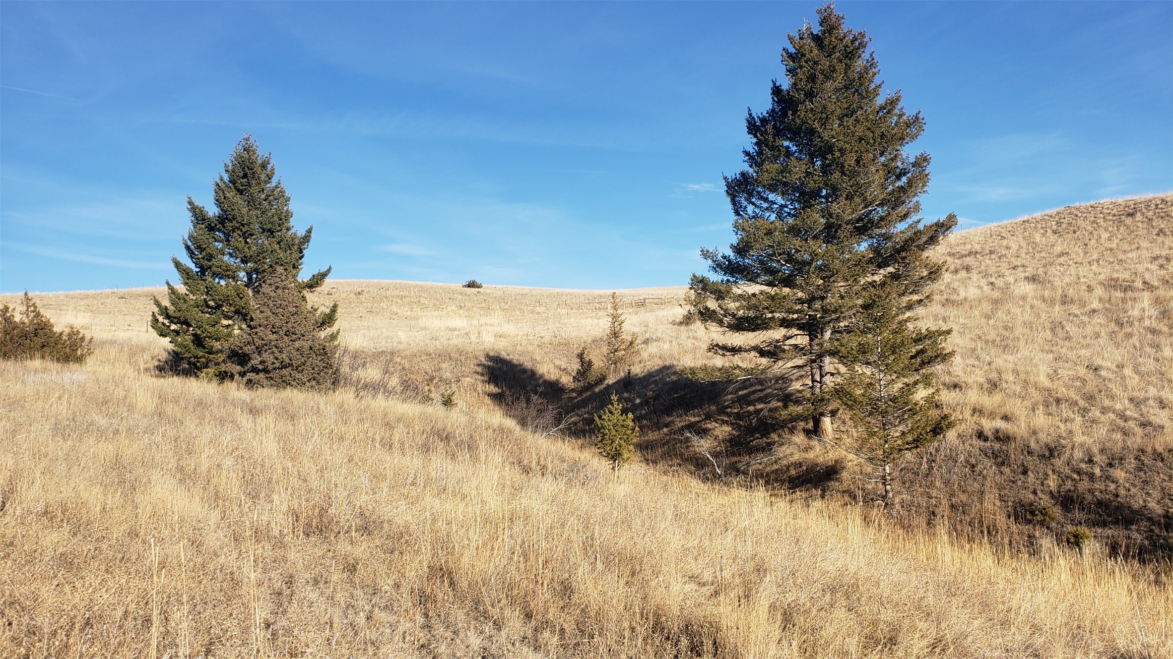 180 Lariat Loop Property Photo 1