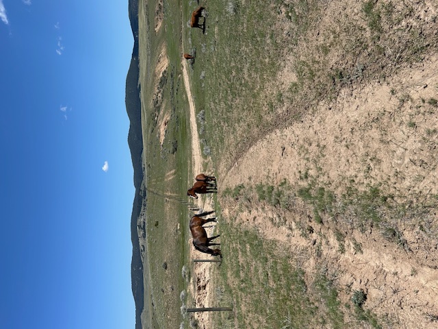 106 Pronghorn Trail Property Photo 57