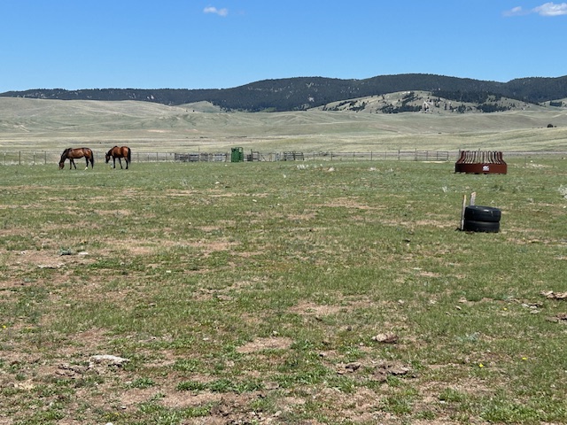 106 Pronghorn Trail Property Photo 59