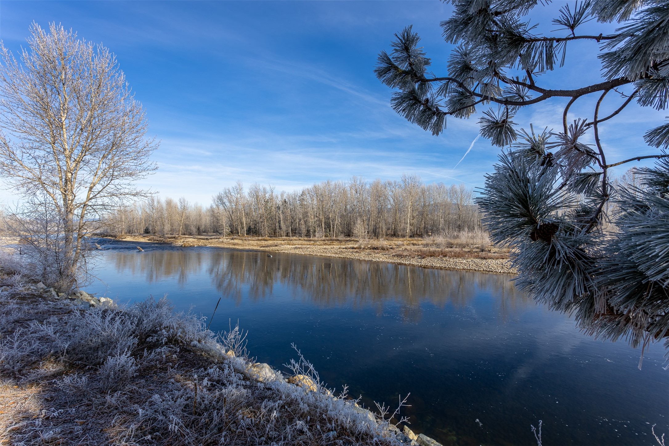 38 Ol Fogie Trail Property Photo