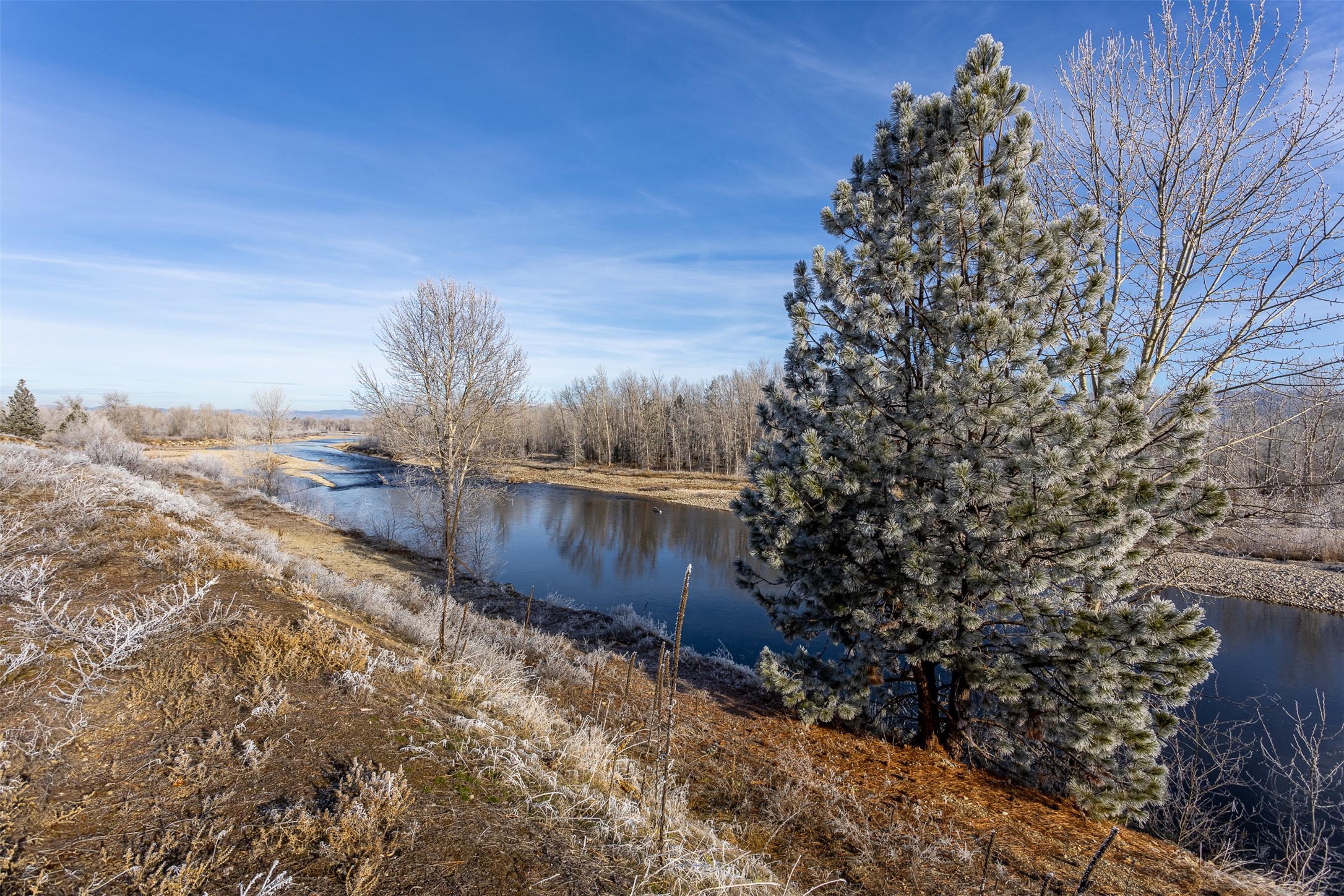38 Ol Fogie Trail Property Photo 3