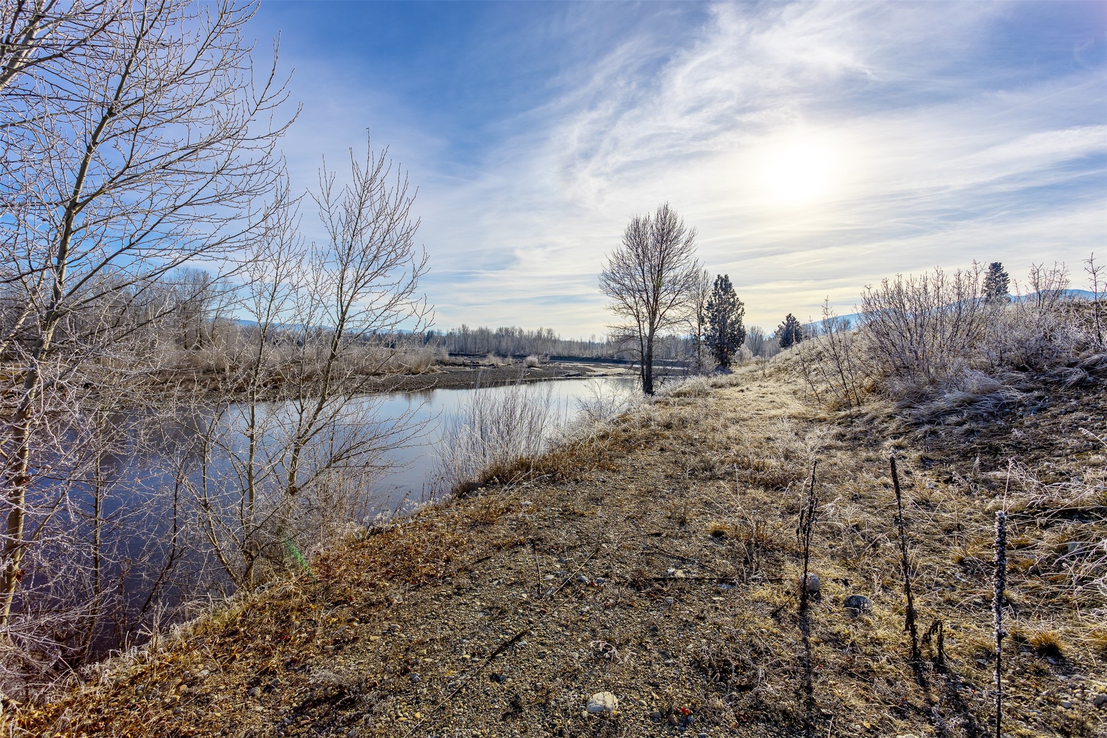 38 Ol Fogie Trail Property Photo 4