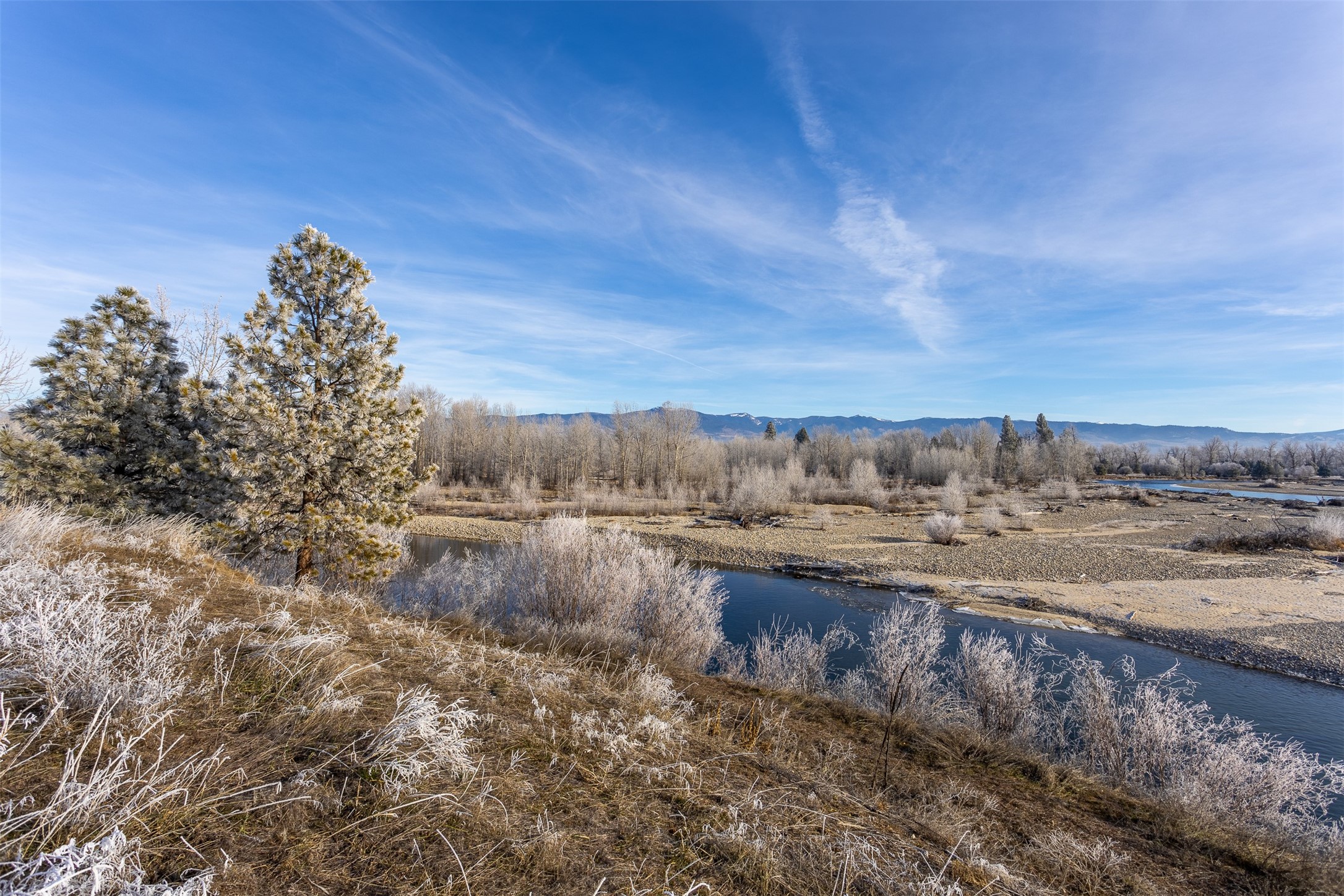 38 Ol Fogie Trail Property Photo 6