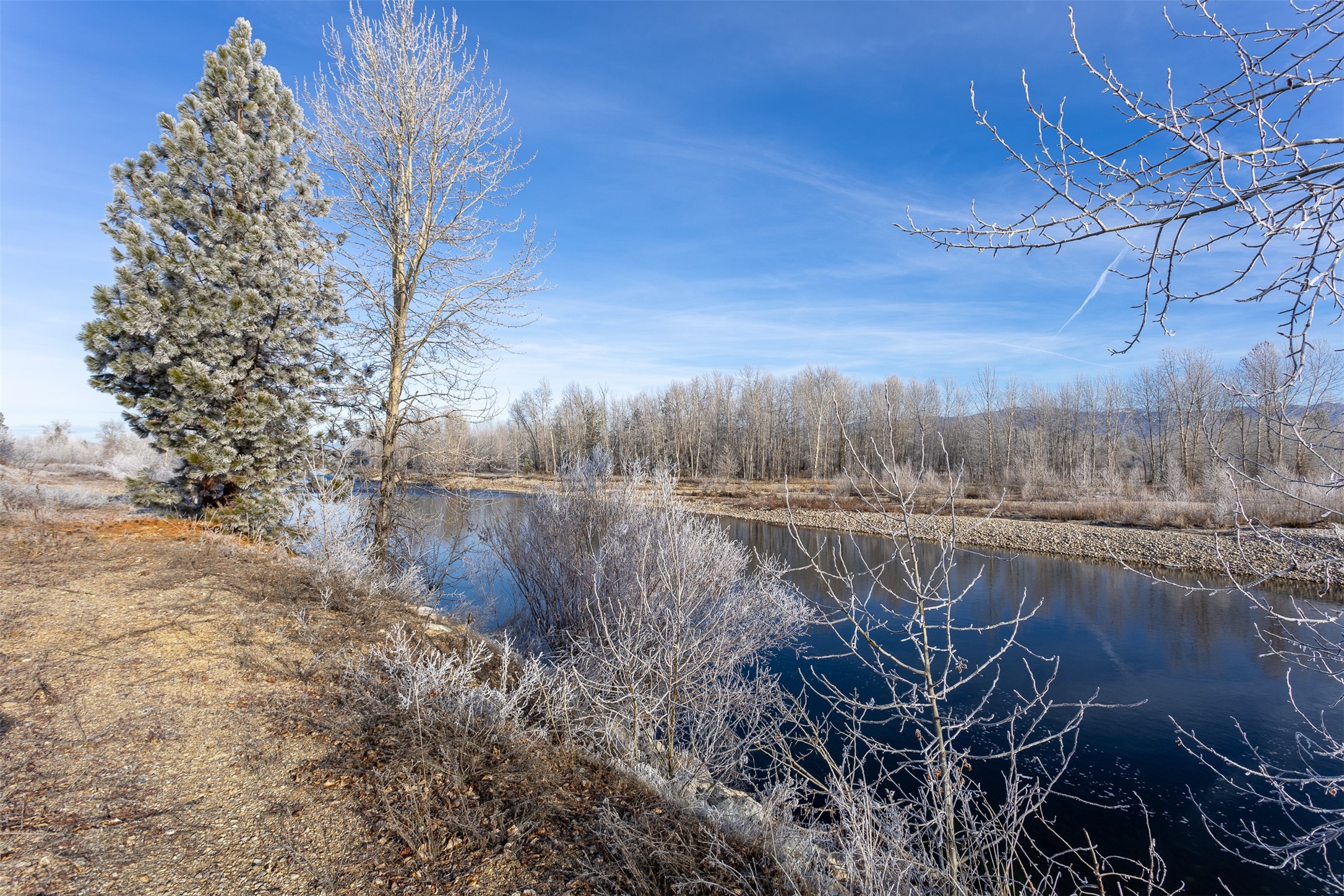 38 Ol Fogie Trail Property Photo 18