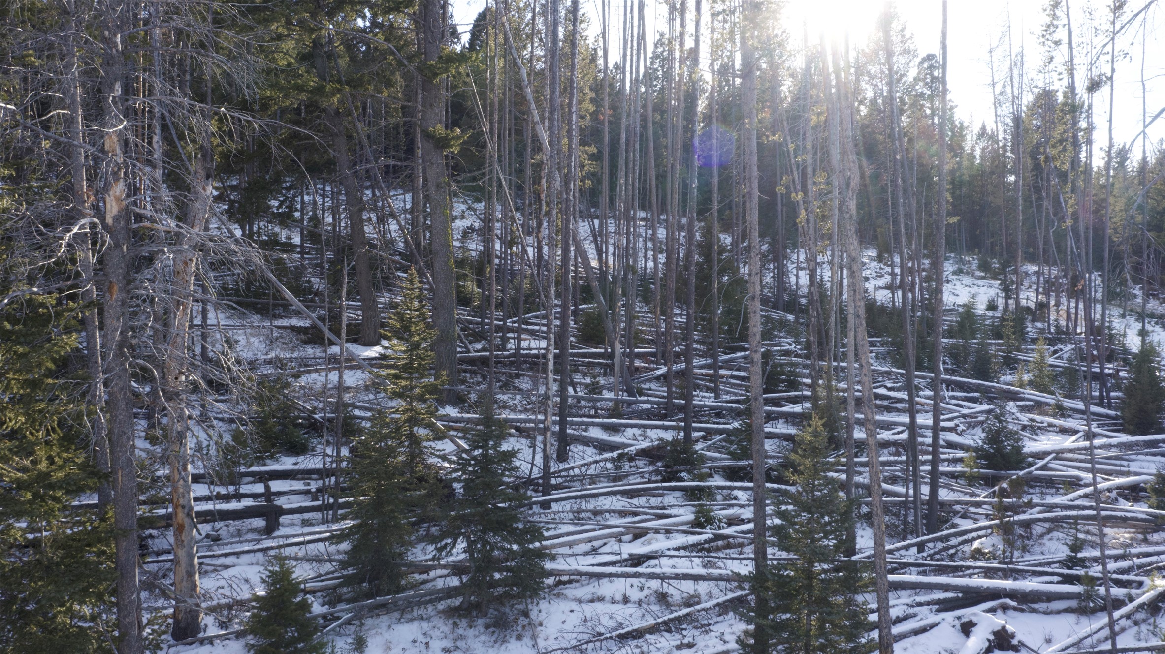 Lot 38 Mountain View Estates Property Photo 4