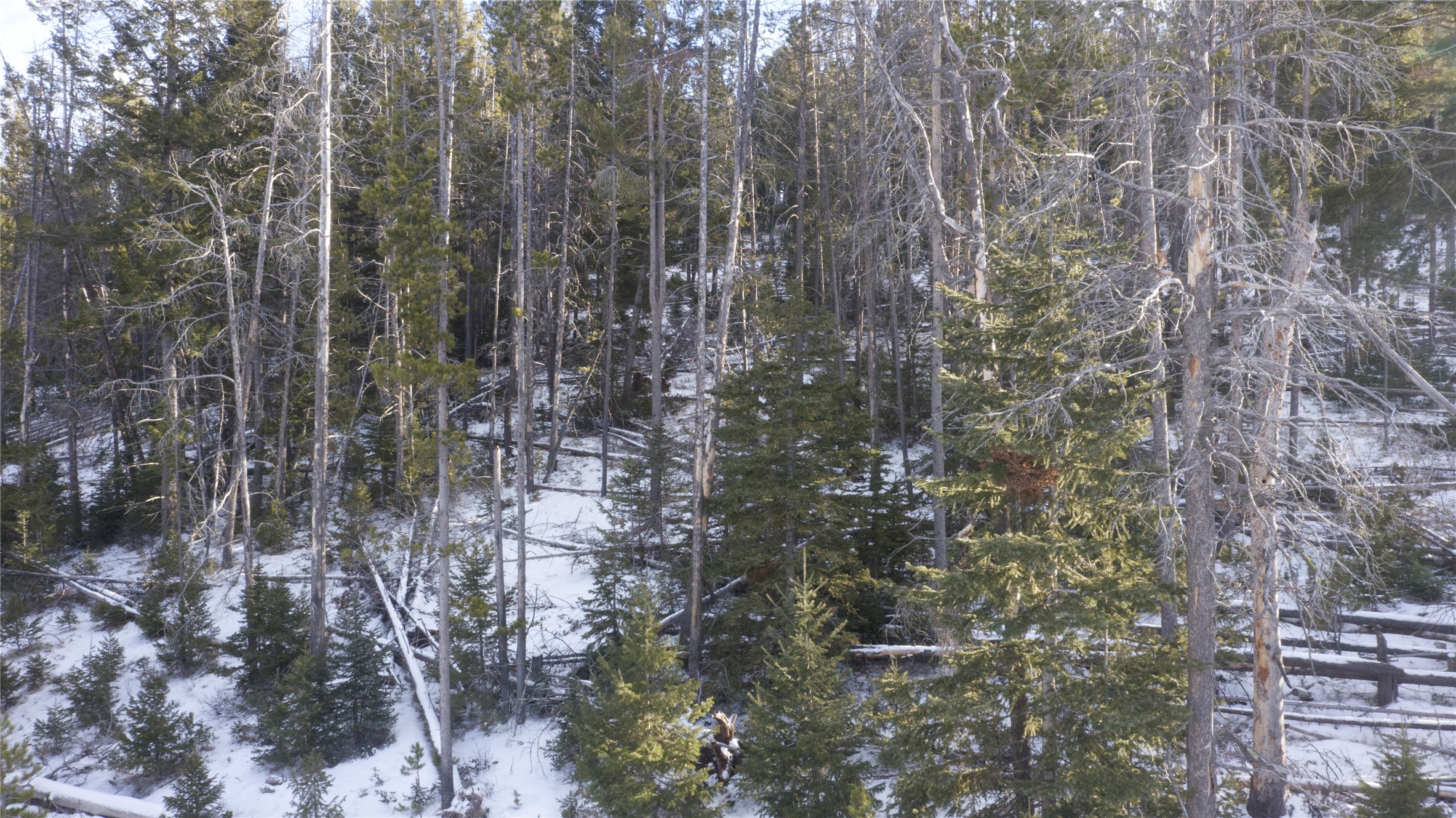 Lot 38 Mountain View Estates Property Photo 6