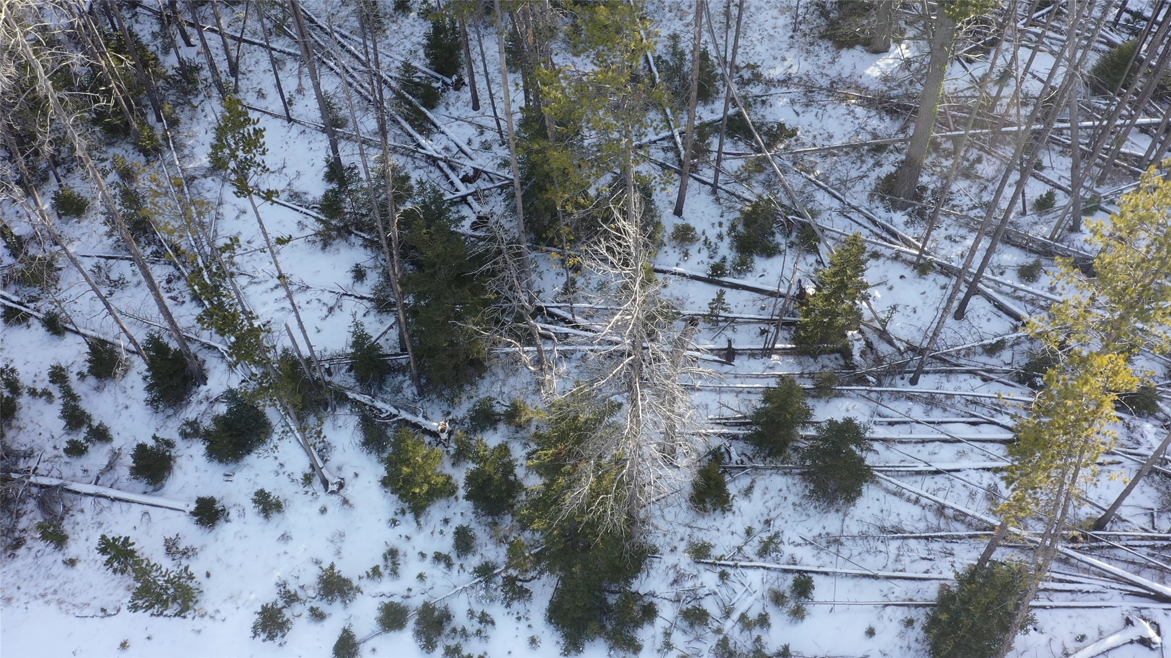 Lot 38 Mountain View Estates Property Photo 9
