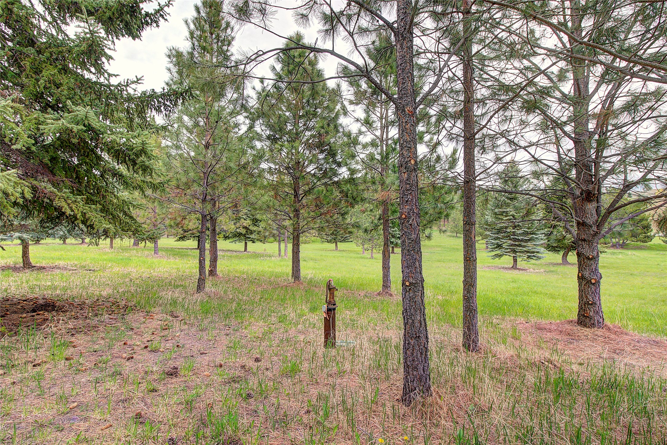 Nhn Blue Spruce Drive Property Photo 2