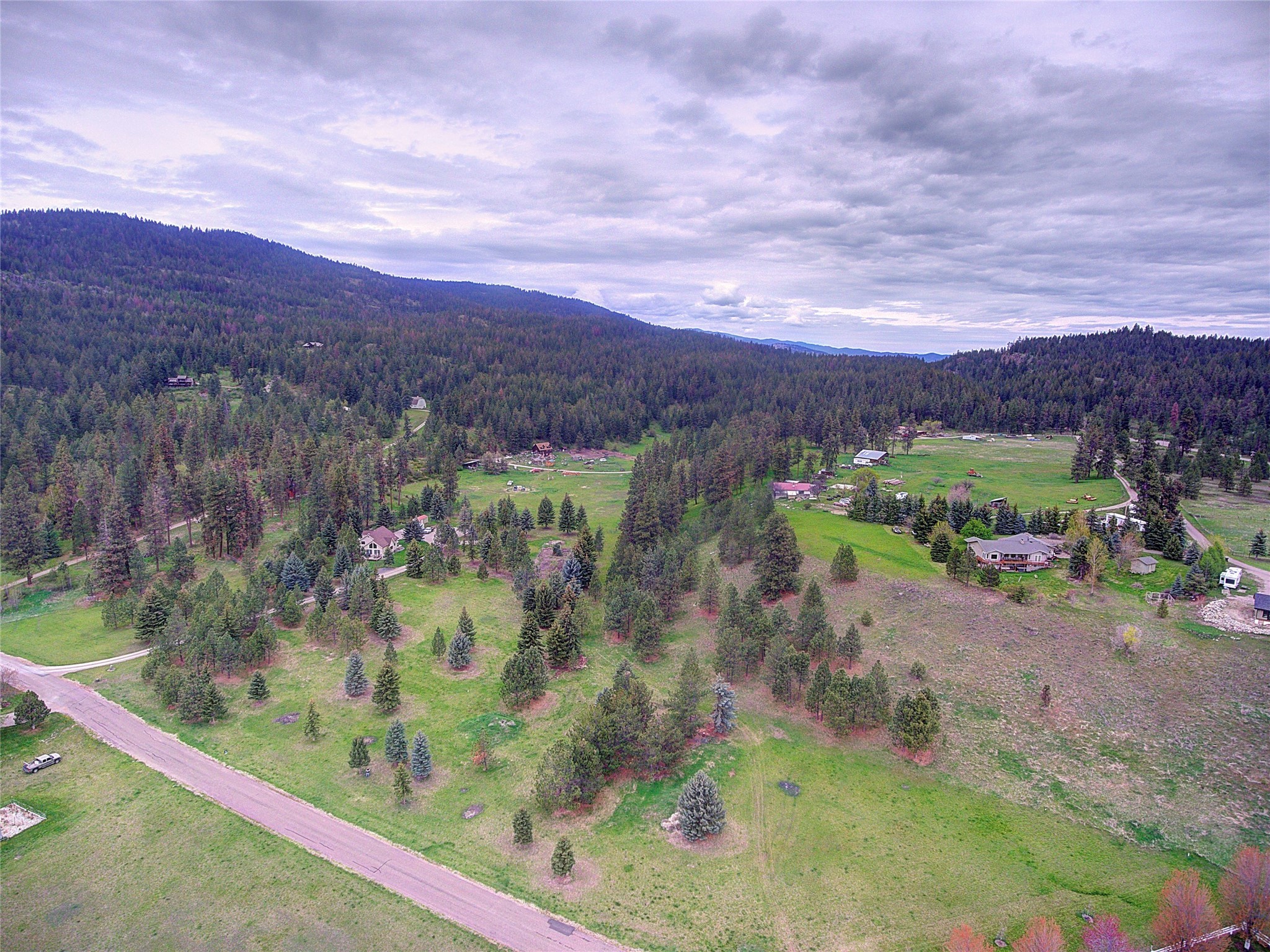 Nhn Blue Spruce Drive Property Photo 3