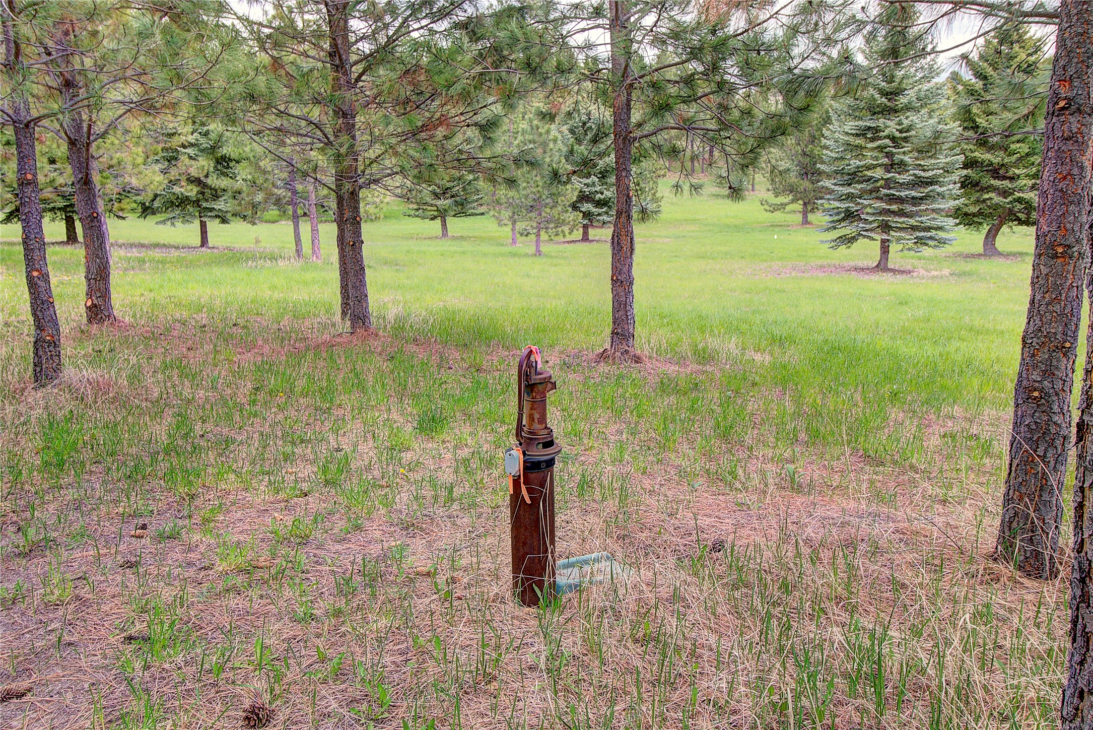 Nhn Blue Spruce Drive Property Photo 5
