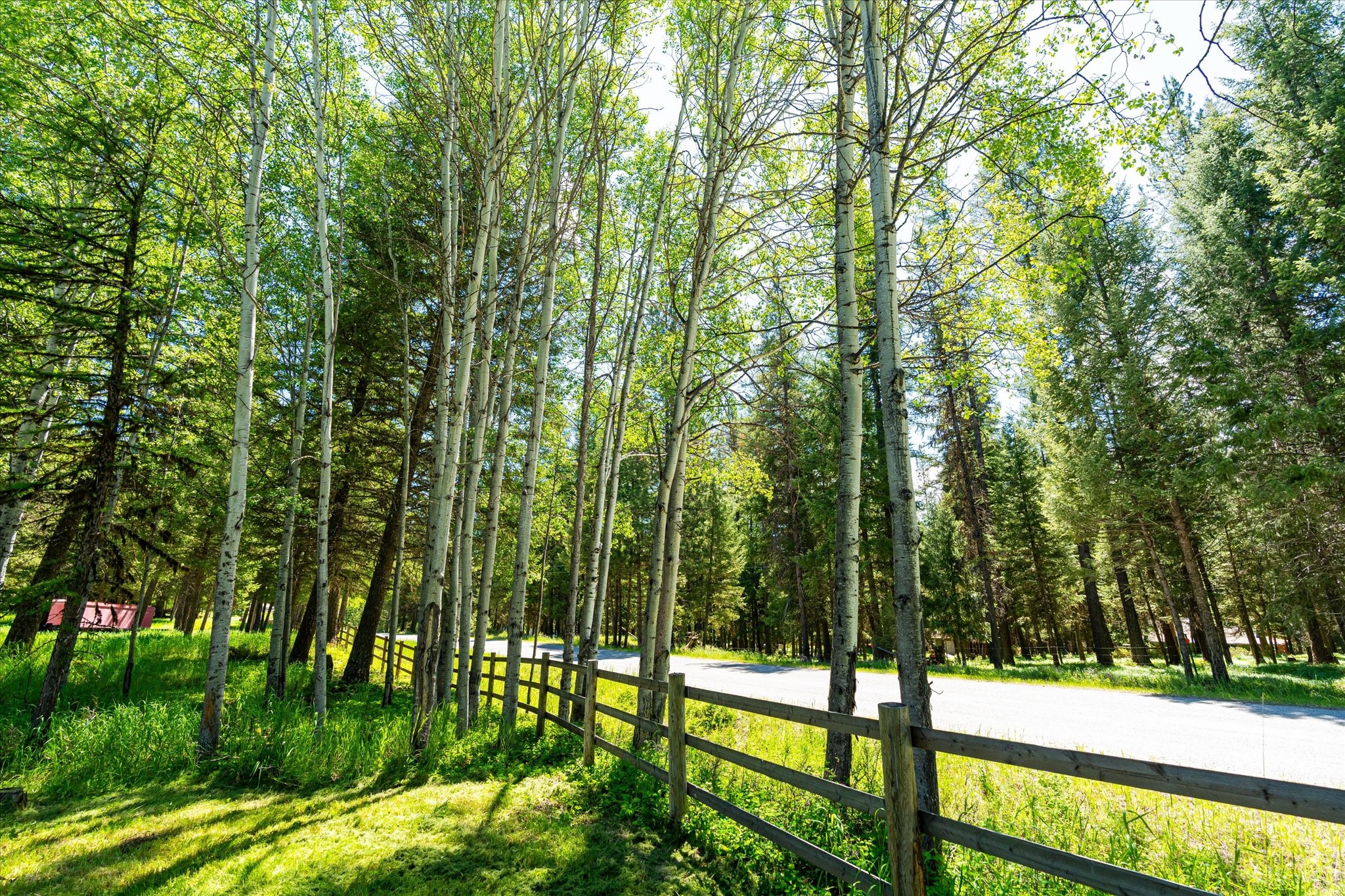 11011 Pinkham Creek Road Property Photo 51