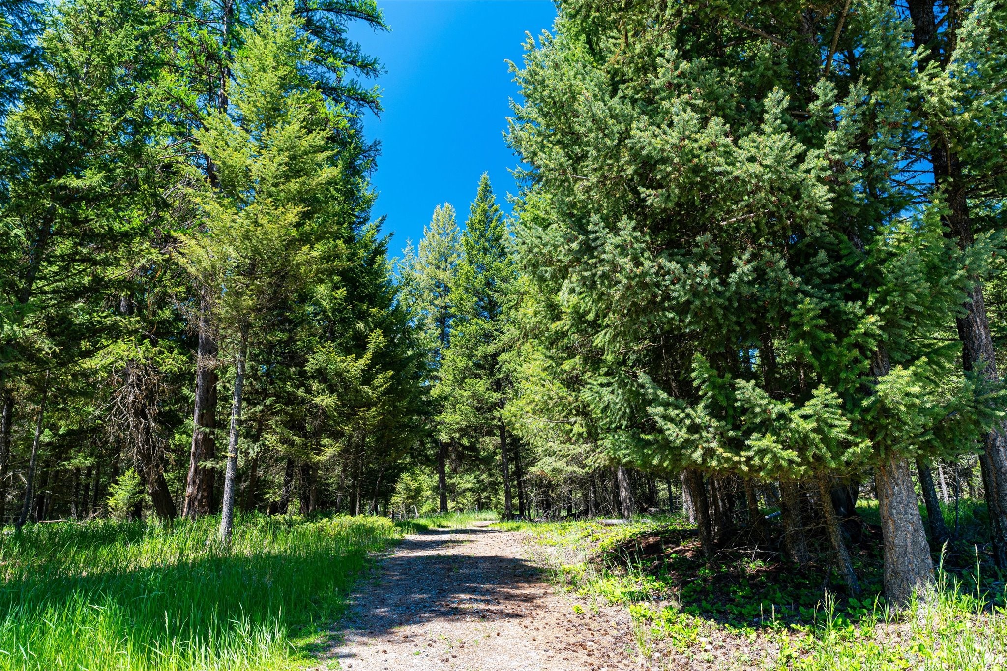 11011 Pinkham Creek Road Property Photo 56