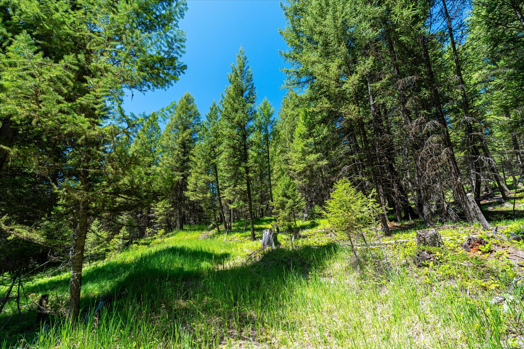 11011 Pinkham Creek Road Property Photo 57