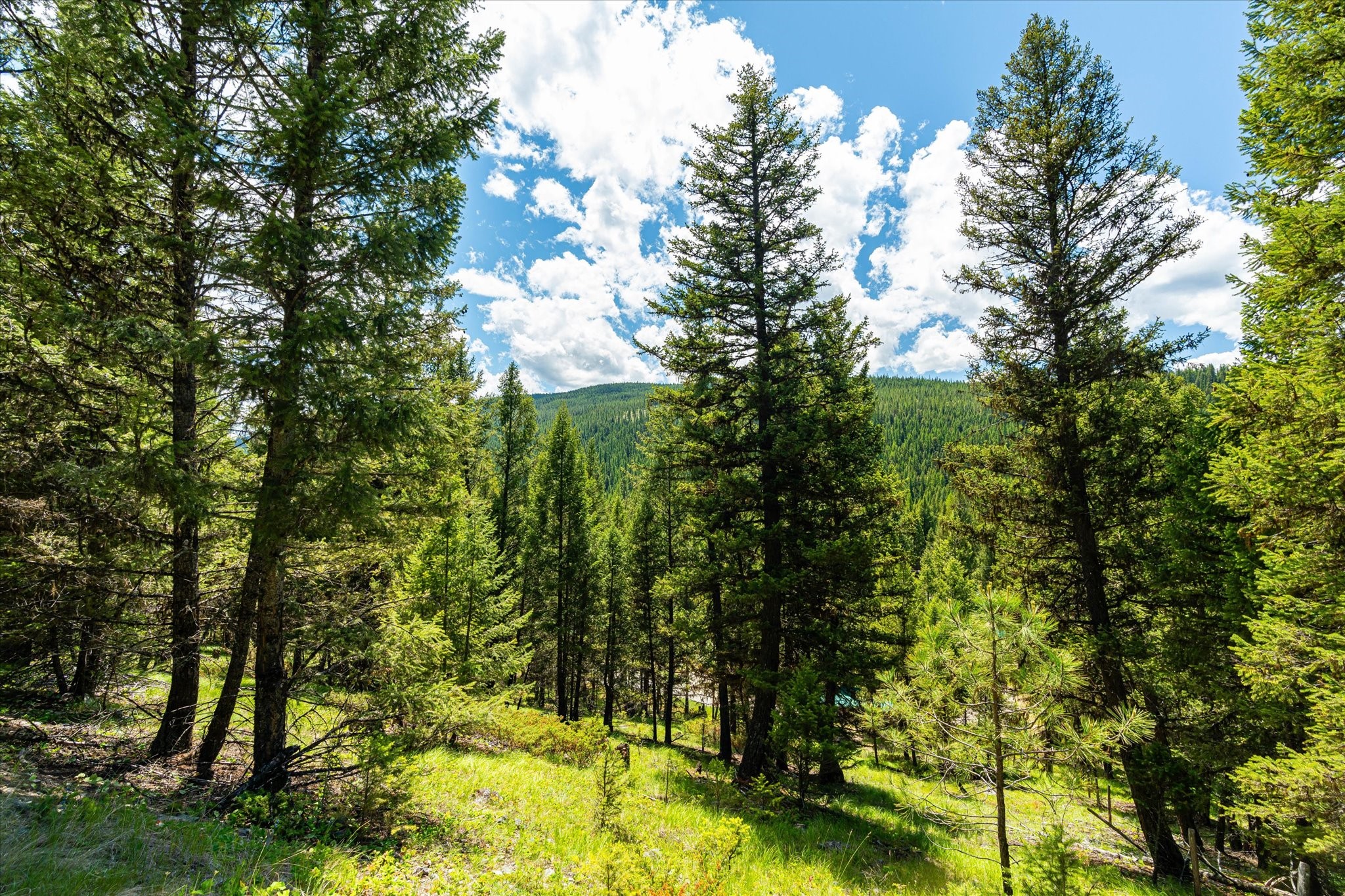 11011 Pinkham Creek Road Property Photo 60
