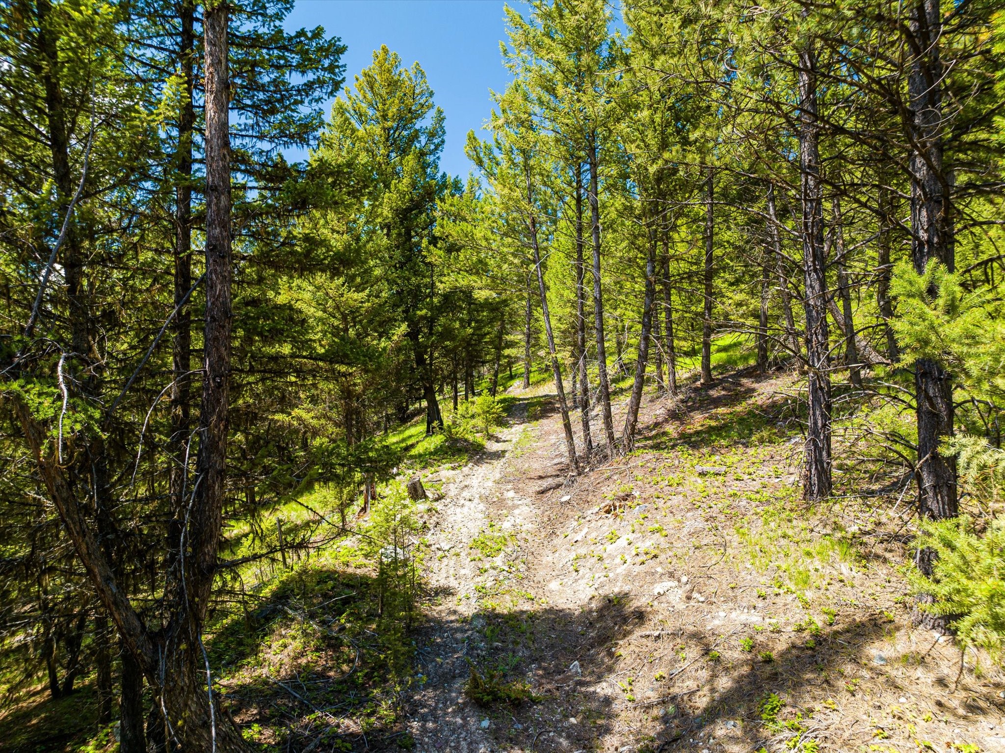 11011 Pinkham Creek Road Property Photo 73