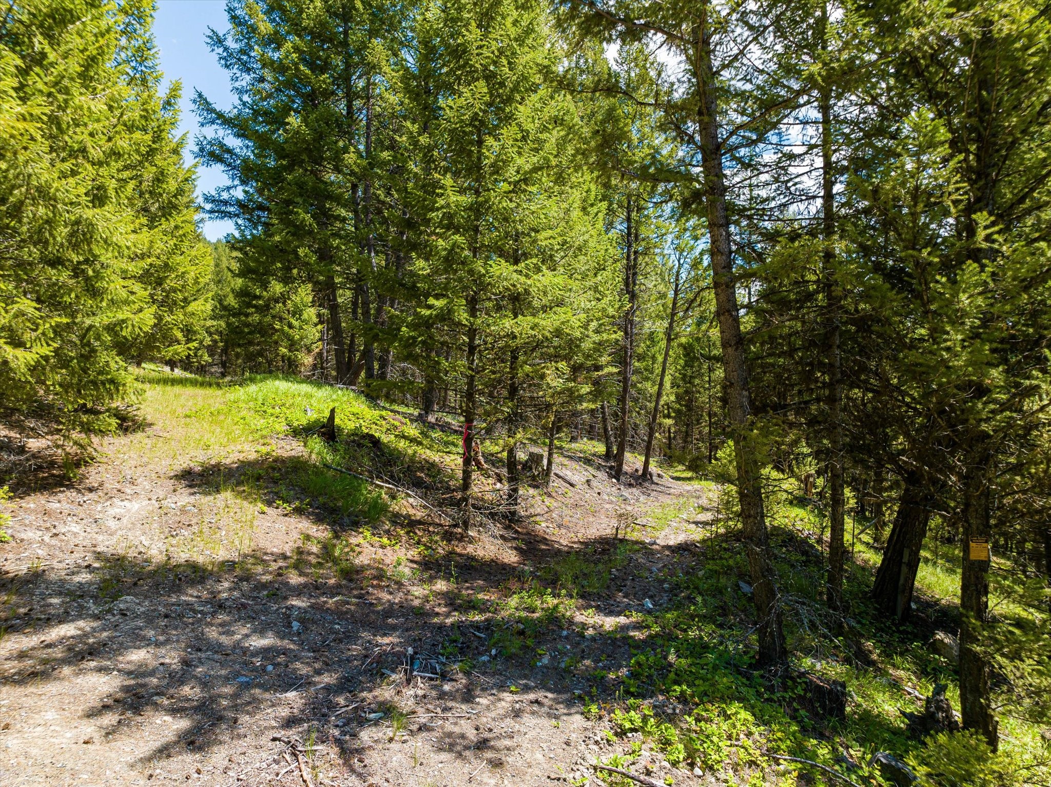 11011 Pinkham Creek Road Property Photo 74