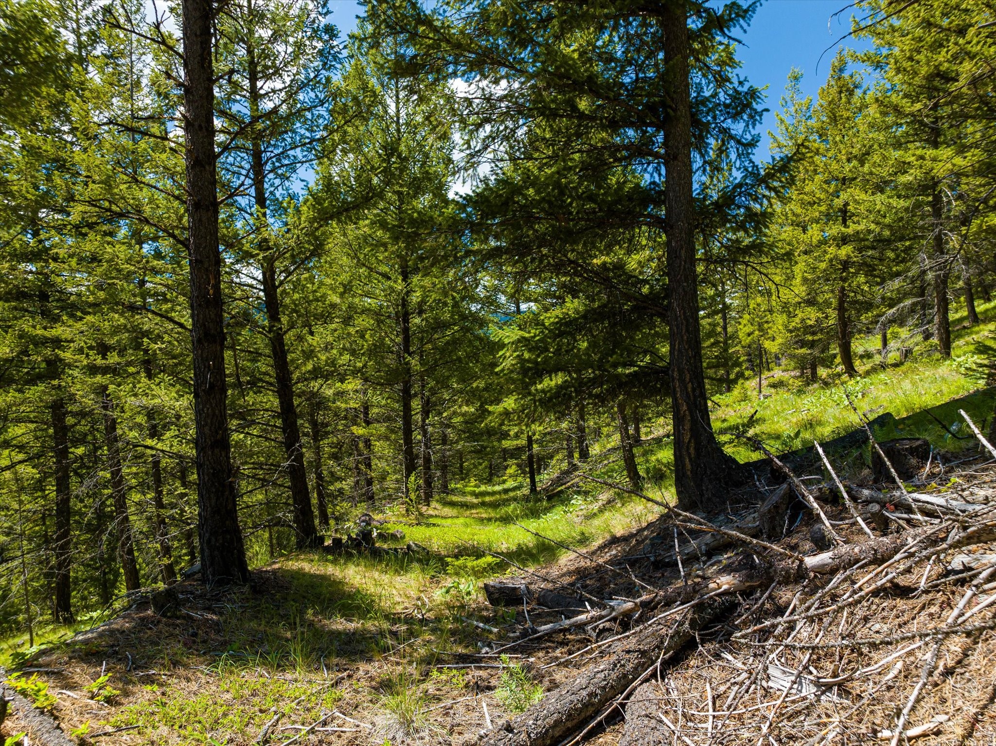 11011 Pinkham Creek Road Property Photo 77