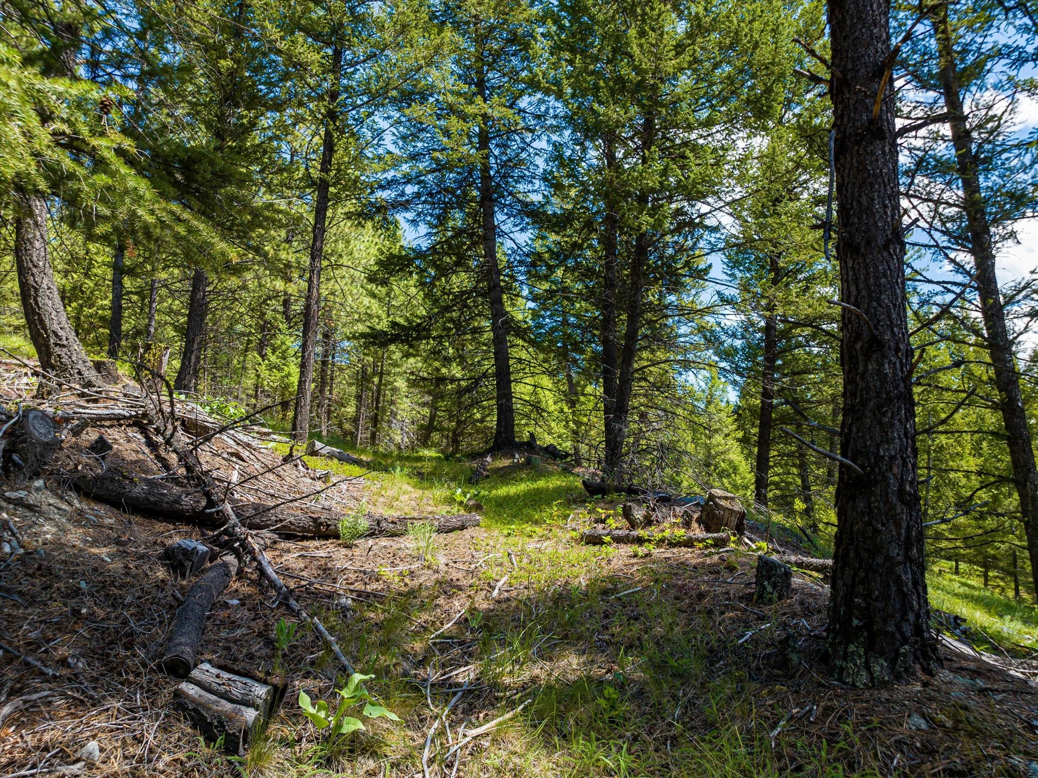 11011 Pinkham Creek Road Property Photo 78