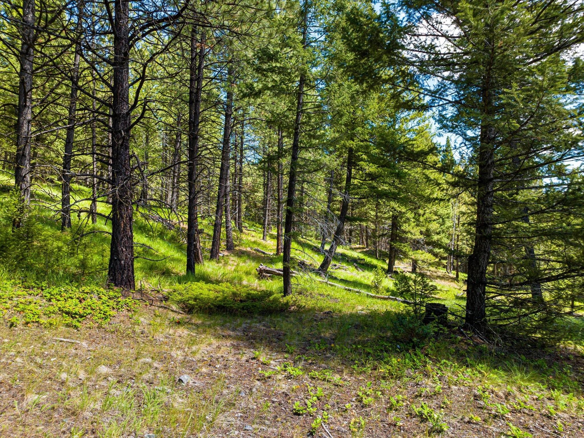 11011 Pinkham Creek Road Property Photo 79