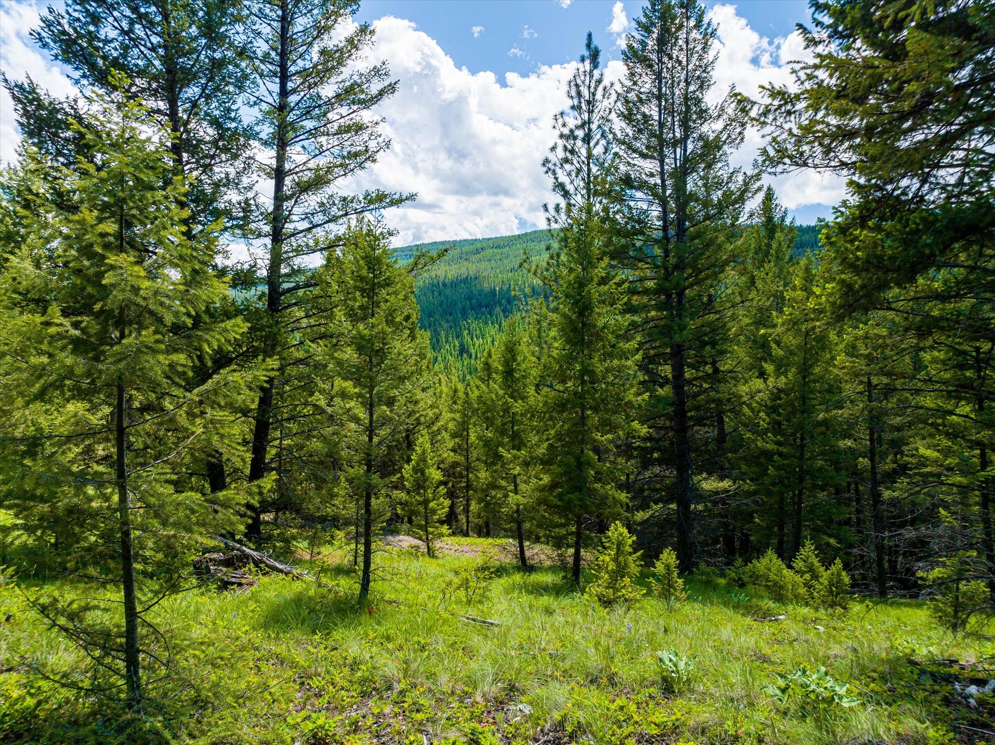 11011 Pinkham Creek Road Property Photo 80