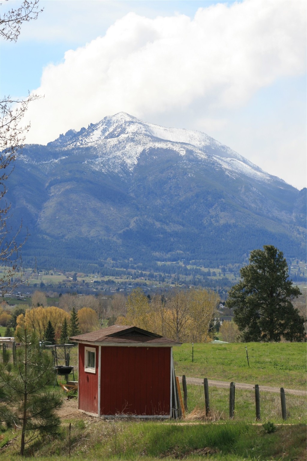492 Silent Hill Road Property Photo 107
