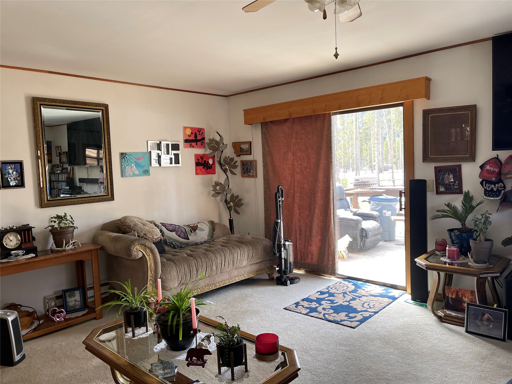 215 Bonanza Drive Property Photo 15