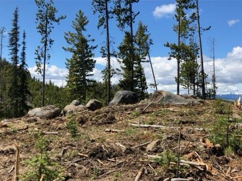 54 S Granite Road Property Photo 25