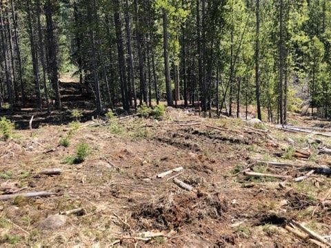54 S Granite Road Property Photo 28