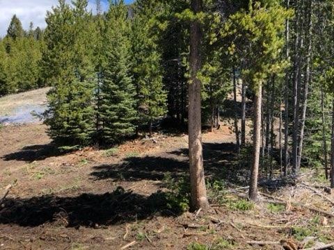 54 S Granite Road Property Photo 30