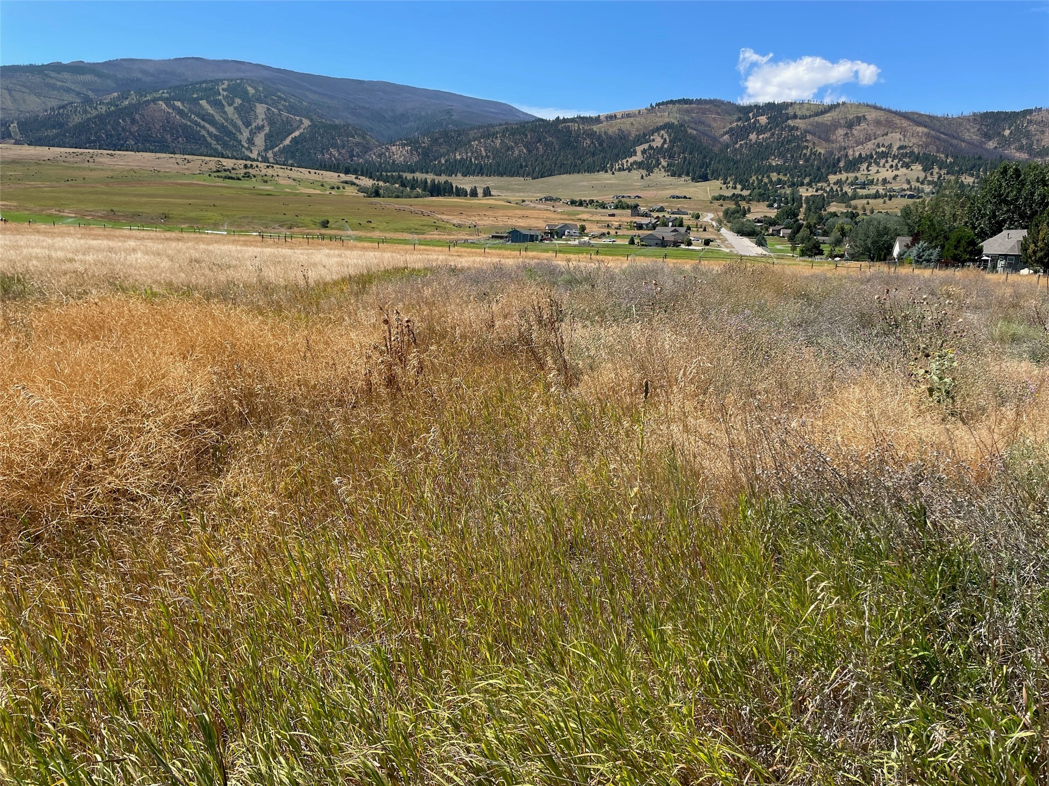 16855/16787 Old Hwy 93 Property Photo 4