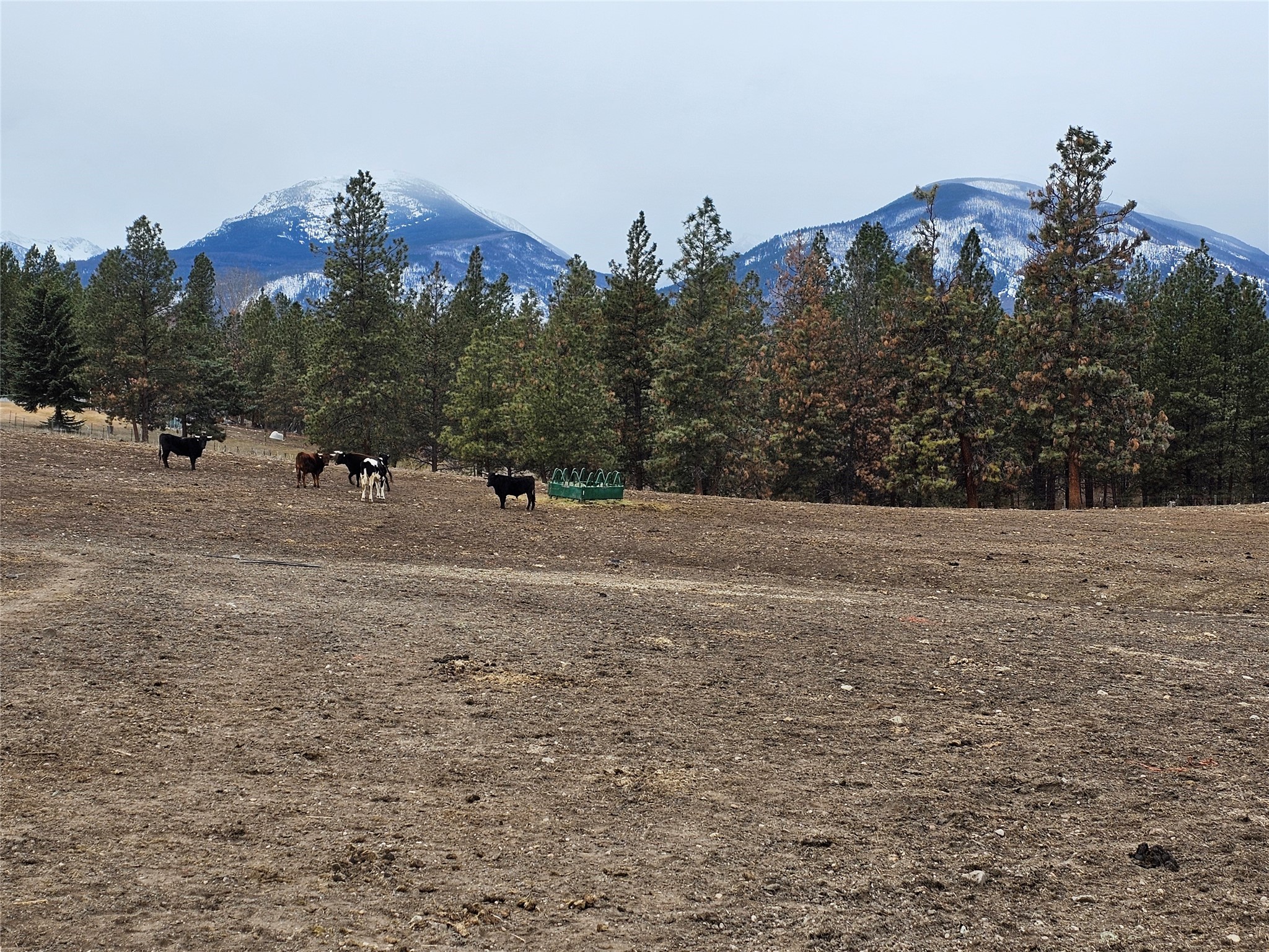 Nhn El Capitan Loop Property Photo 11