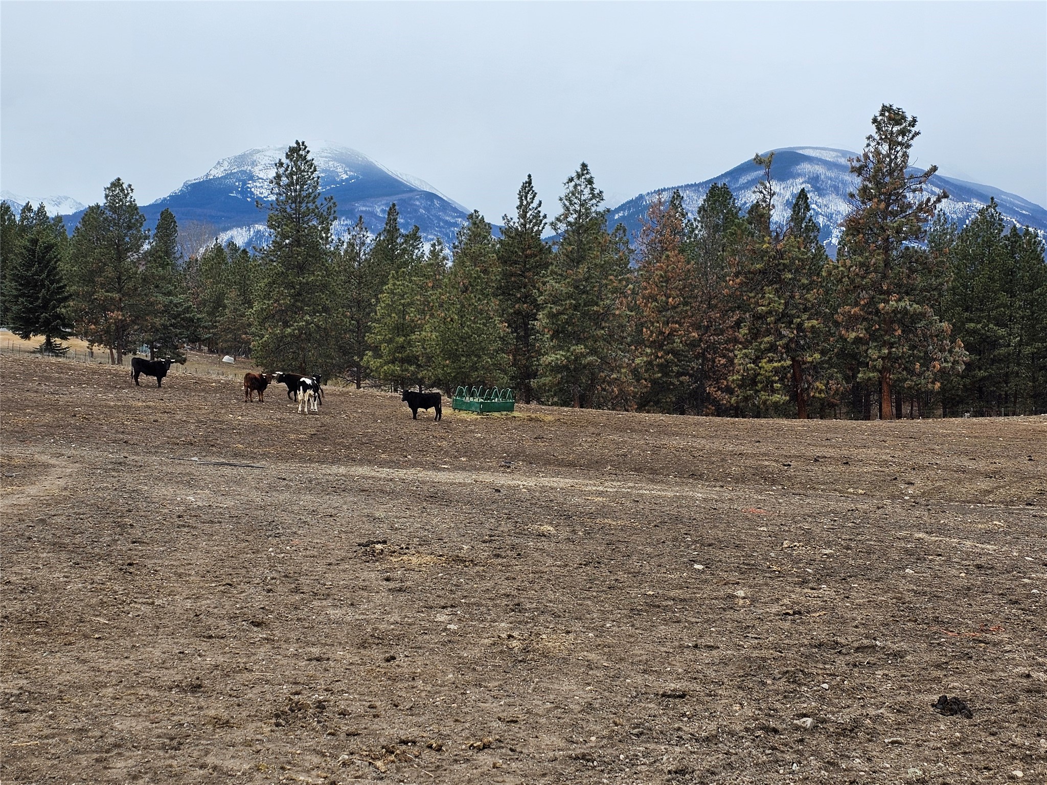 Nhn El Capitan Loop Property Photo 11