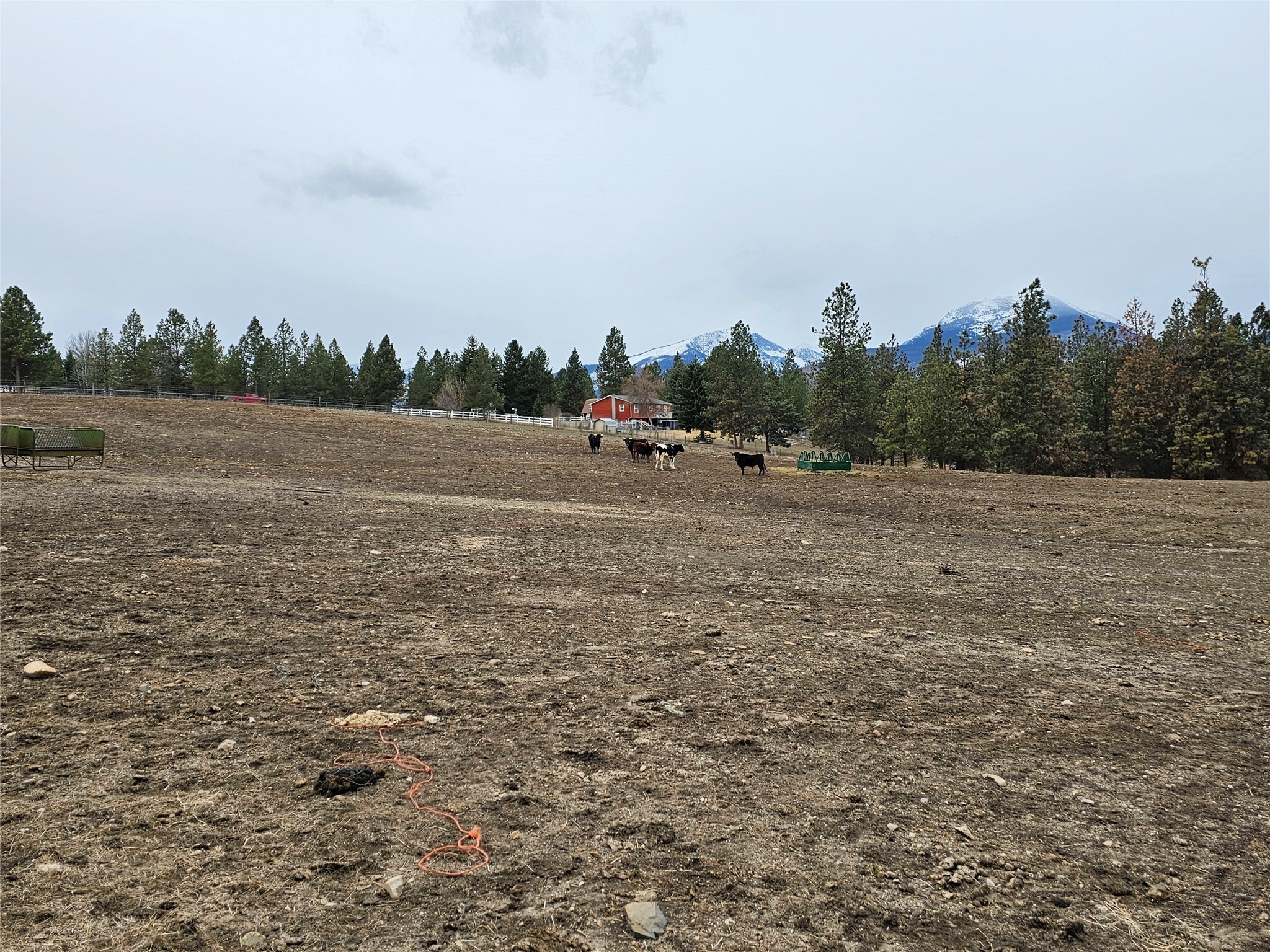 Nhn El Capitan Loop Property Photo 12