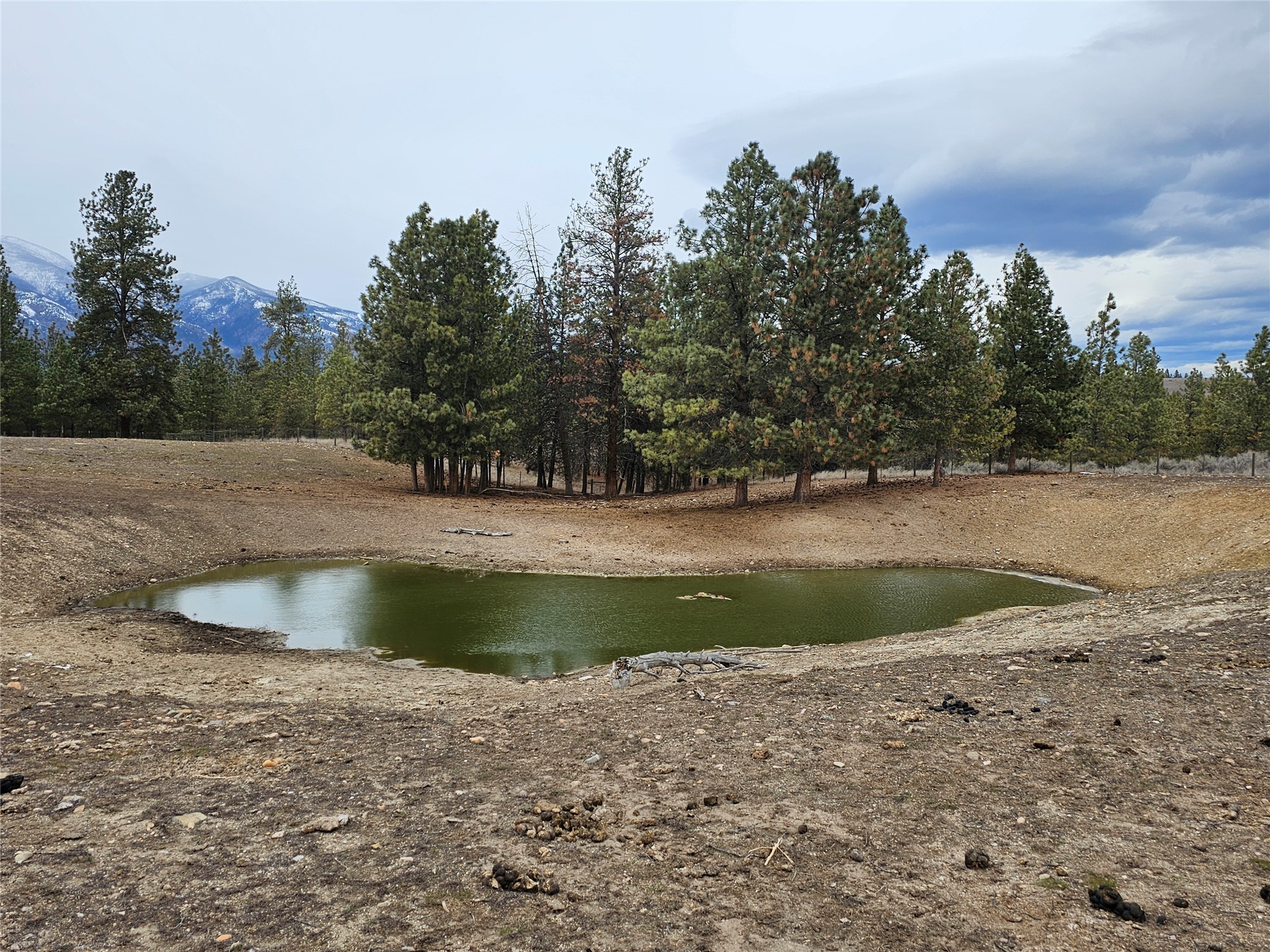 Nhn El Capitan Loop Property Photo 14