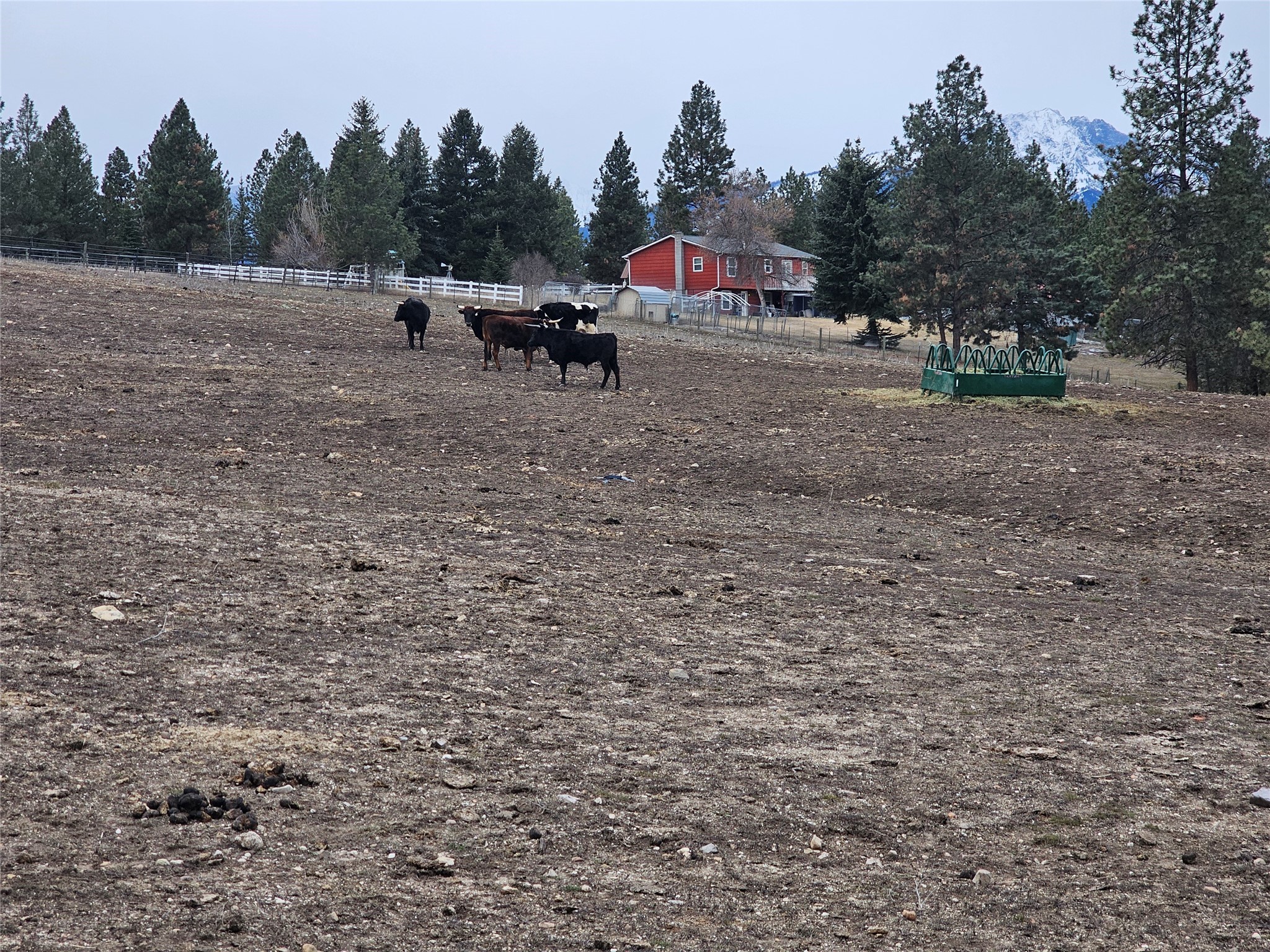 Nhn El Capitan Loop Property Photo 16
