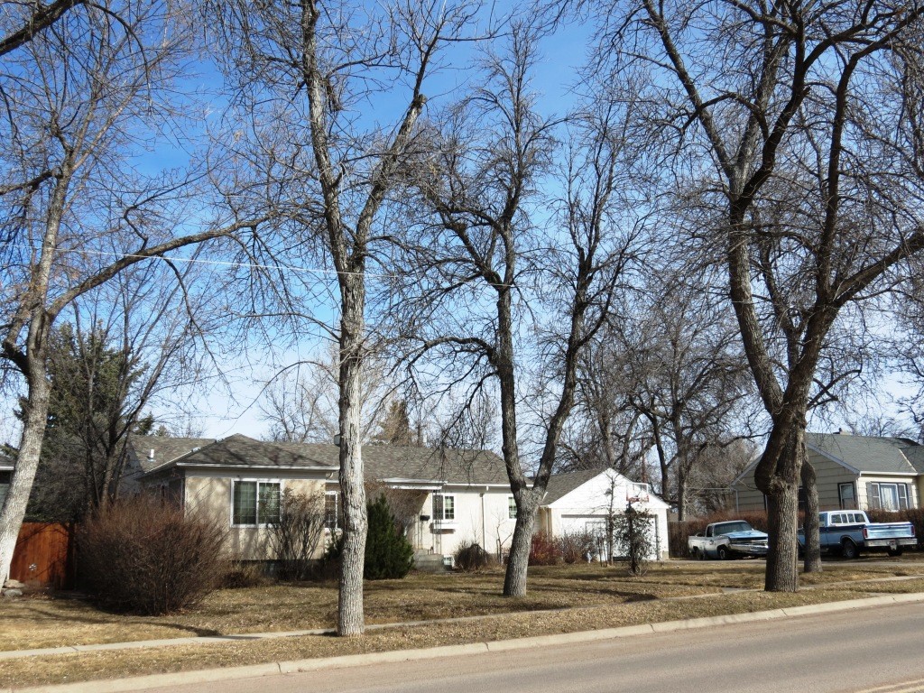 3109 Central Avenue Property Photo 3