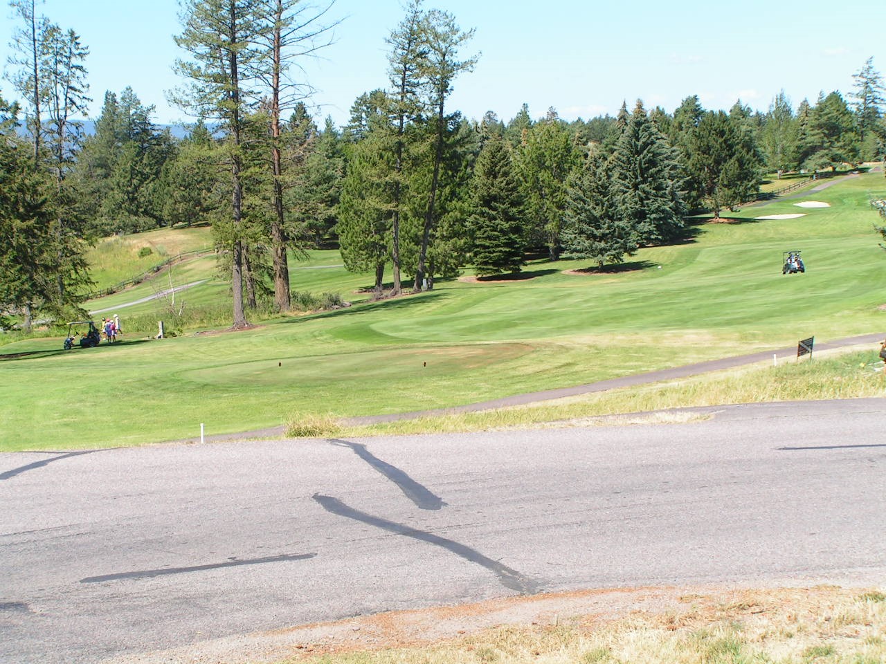 201 Bridger Drive Property Photo 4