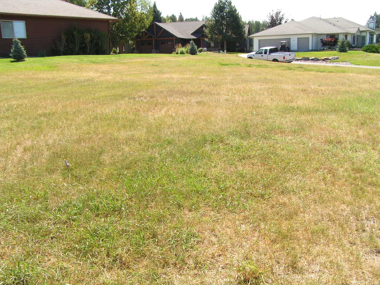201 Bridger Drive Property Photo 6