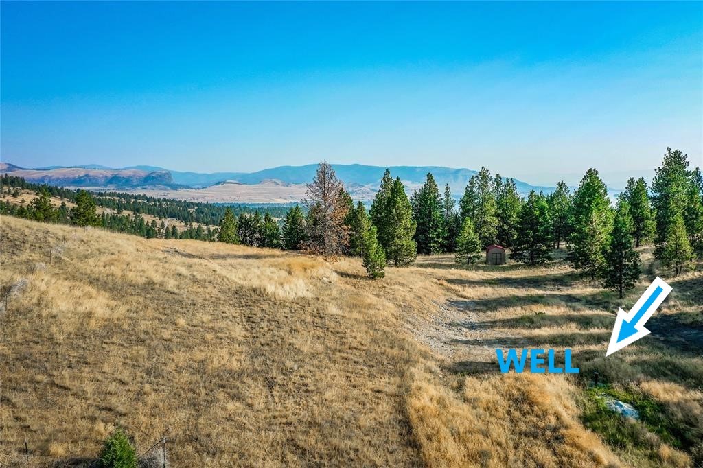 29011 Walking Horse Lane Property Photo 11