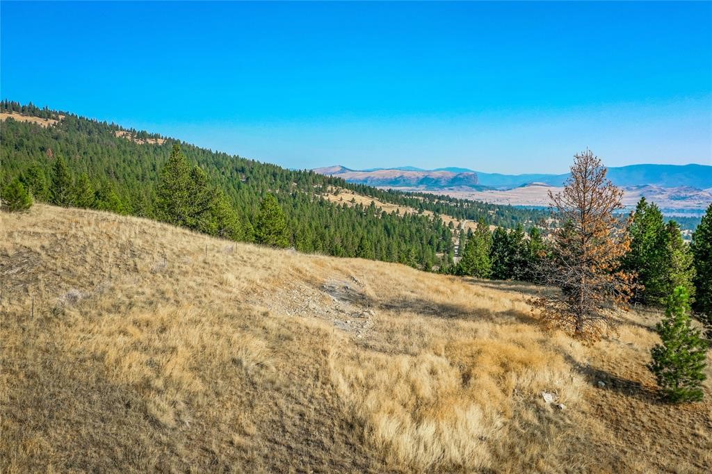 29011 Walking Horse Lane Property Photo 12