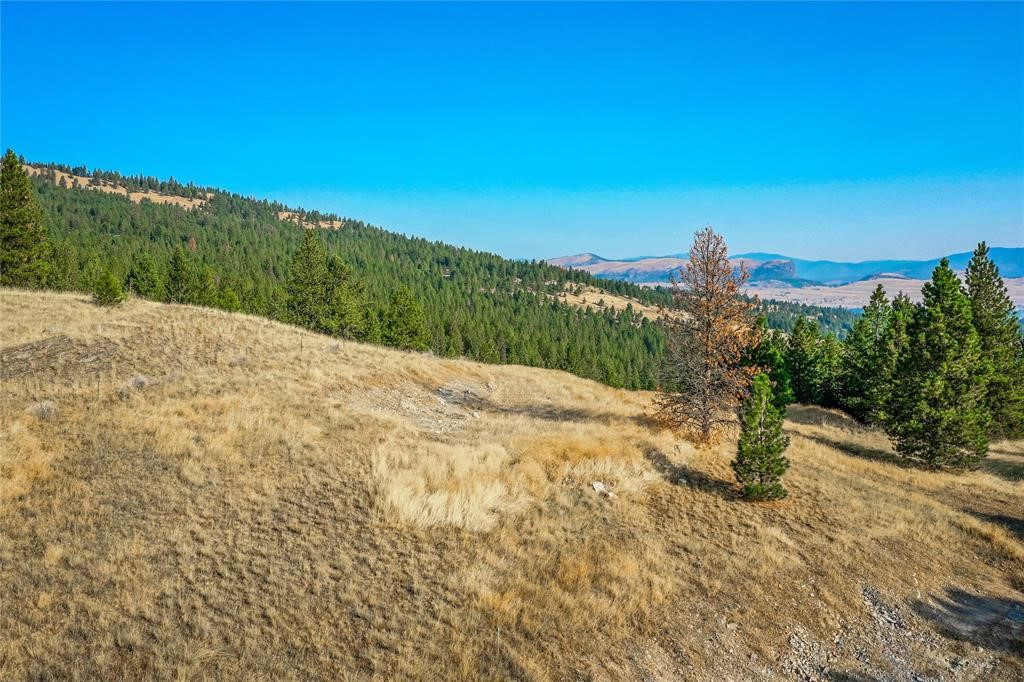 29011 Walking Horse Lane Property Photo 13