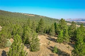 29011 Walking Horse Lane Property Photo 17