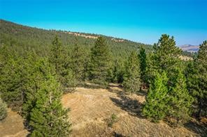 29011 Walking Horse Lane Property Photo 18