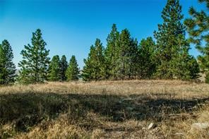 29011 Walking Horse Lane Property Photo 34