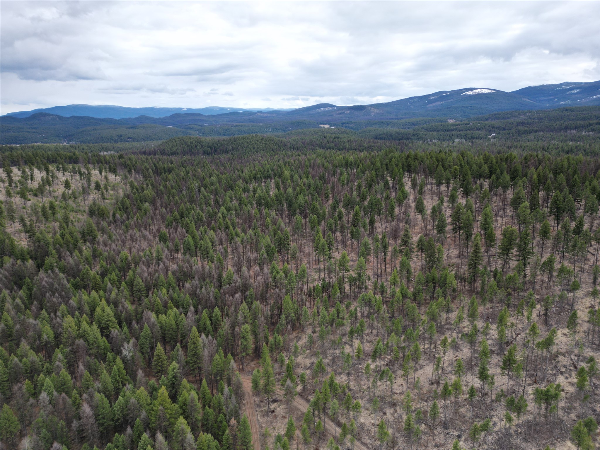 Nhn 120 Acres South Property Photo 6