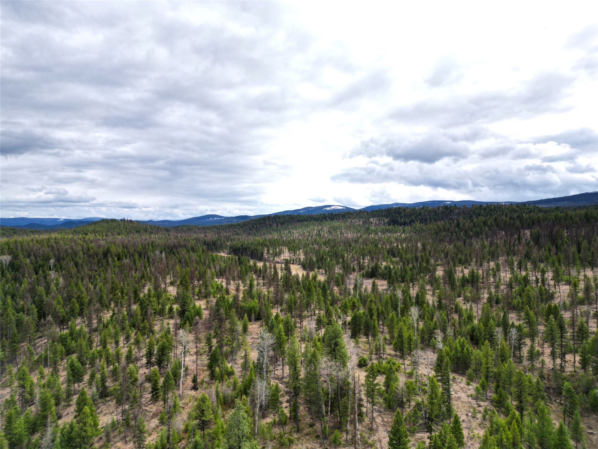 Nhn 120 Acres South Property Photo 7