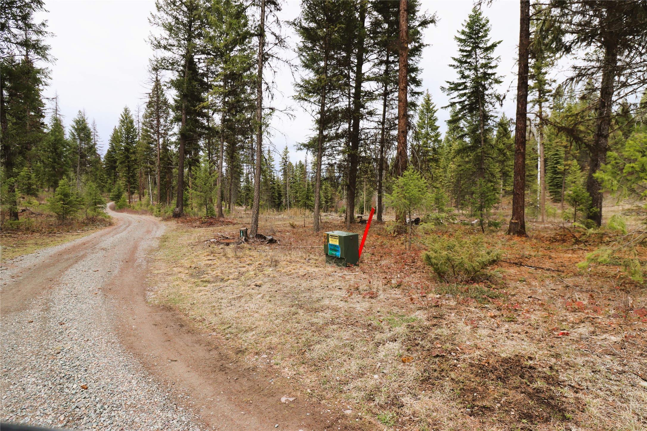 Nhn 120 Acres South Property Photo 8